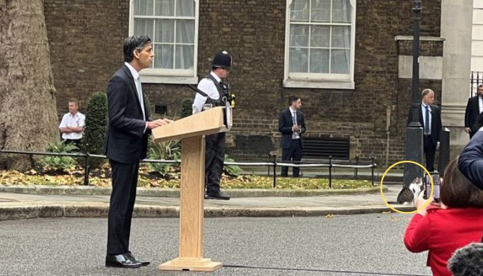 Larry the Cat is spotted as Rishi Sunak speaks at 10 Downing Street in London.— Twitter