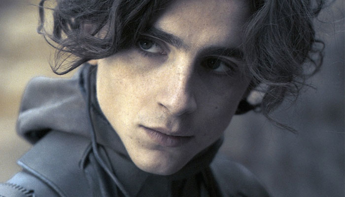 Timothée Chalamet: blindsided by how big Dune was
