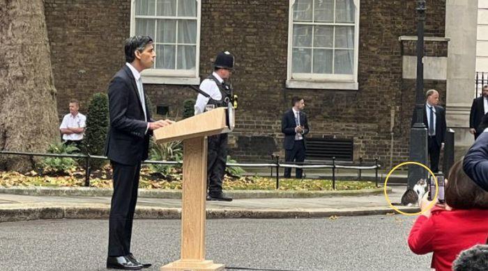 Real boss : Larry the Cat steals the show during Rishi Sunak s address