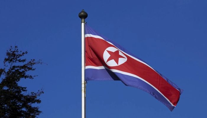 A North Korean flag flies on a mast at the Permanent Mission of North Korea in Geneva October 2, 2014.— Reuters