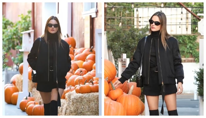 Alessandra Ambrosio serves a killer look in miniskirt while pumpkin shopping in Brentwood