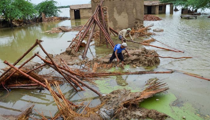 People retrieve bamboos from a damaged house following rains and floods during the monsoon season in Dera Allah Yar, district Jafferabad, Balochistan, Pakistan August 25, 2022.  — Reuters