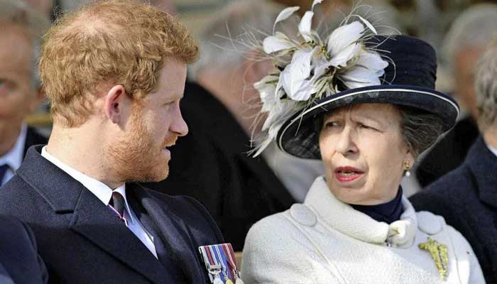 Prince Harry advised to take lesson from Princess Anne on being spare