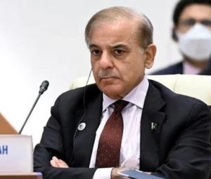 PM Shehbaz forms committee to deal with PTI's long march 