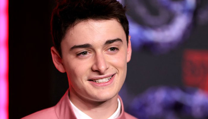 Netflix Stranger Things cast in other movies, shows: details inside
