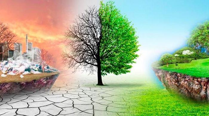 Crime and compensation