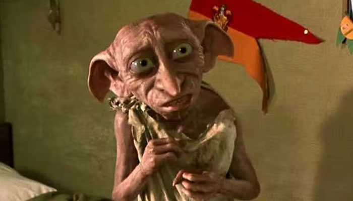 Harry Potter fans leaving socks at Dobby grave hikes environmental concern