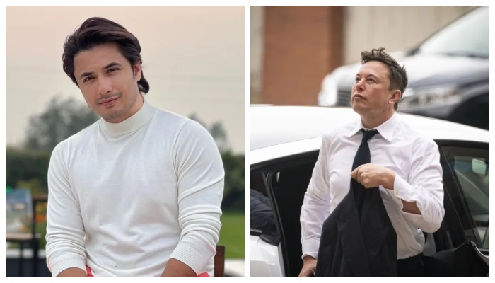 Elon Musk approves Ali Zafar’s Twitter suggestions