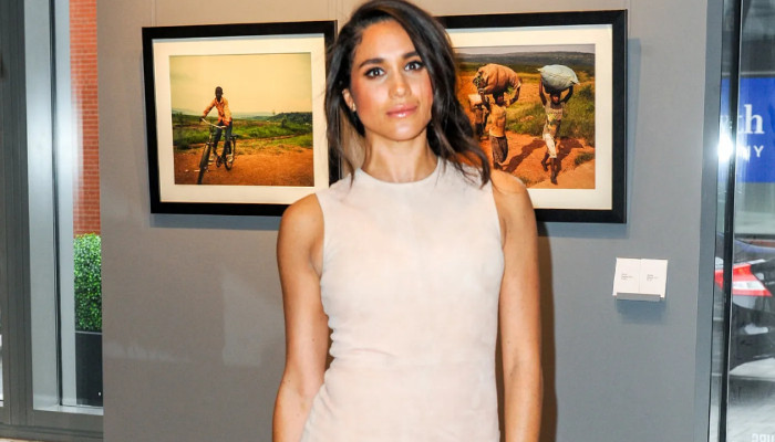 Meghan Markle planning return to 'passion project' she gave up for royal life - Vimarsana News