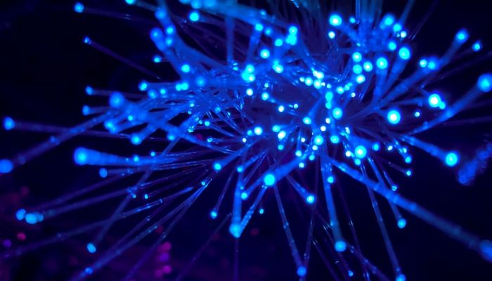 Image shows close-up of blue fairy lights.— Unsplash