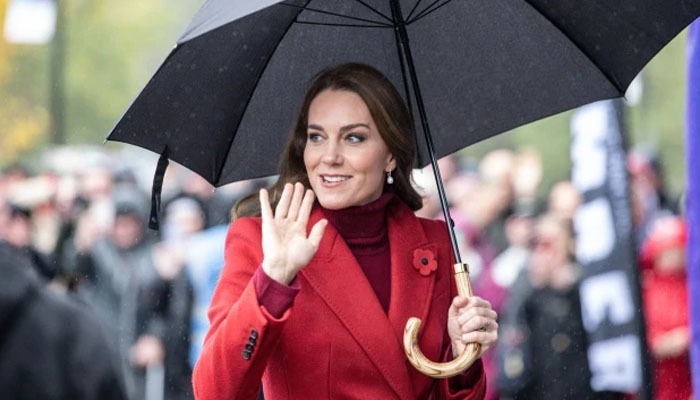 Kate Middleton flaunts her charm as she attends Rugby World Cup quarter-final