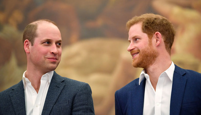 William, Harry ‘get behind’ armed charities as govt fails to support