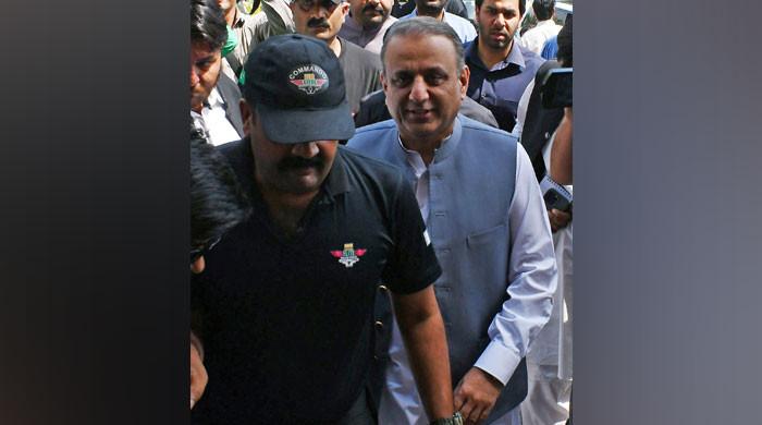 ACE Punjab books Aleem Khan for using forged documents to sell state-owned land