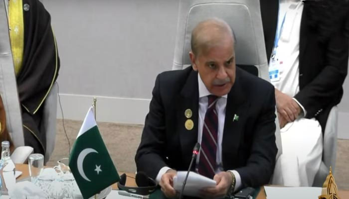 Prime Minister Shehbaz Sharif addresses Saudi Green Initiative meeting at COP-27. — YouTube screengrab/PTV News