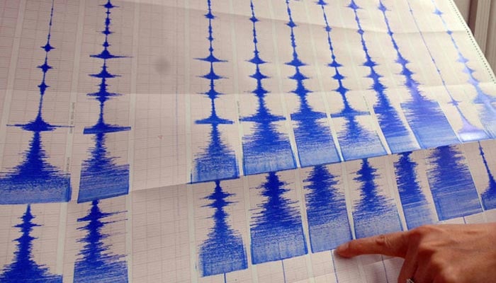 A seismograph takes readings of an earthquake. — AFP/File