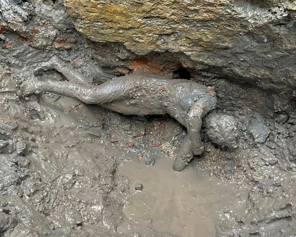 A newly discovered 2,300-year-old bronze statue lies on the ground in San Casciano dei Bagni, Italy, in this handout photo obtained by Reuters on November 8, 2022.