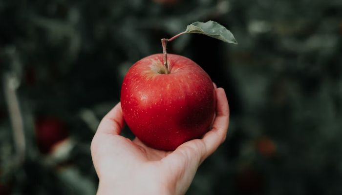 A person holding an apple.  — Unsplash