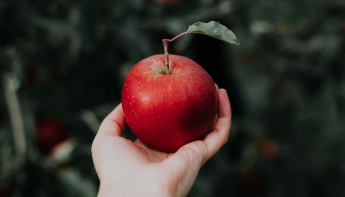 A person holding an apple. — Unsplash