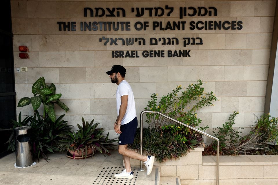 Seorang pekerja memasuki Bank Gen Tanaman Israel di Institut Volcani di Rishon LeZion, Israel 3 November 2022.— Reuters
