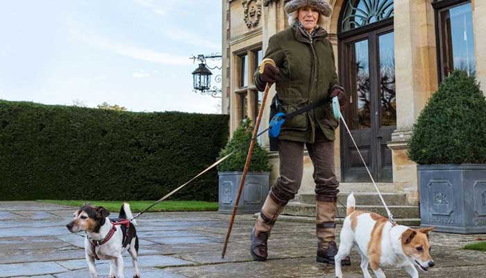Camilla describes dogs faithful friends, adds cant imagine life without them