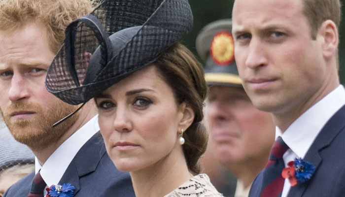 British media’s royal coverage slammed, former broadcaster says ‘things ought to be open’