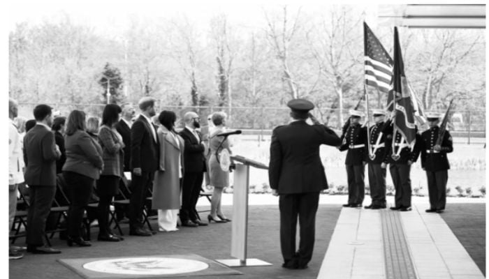 Meghan and Harrys old picture released on Veterans Day lends credence to Lady Cs claim?