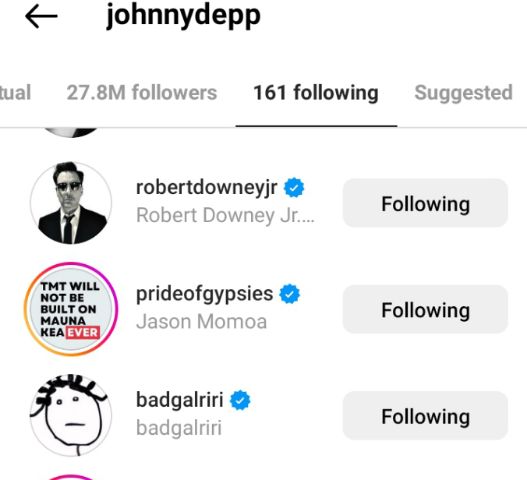 Johnny Depp starts following Rihanna