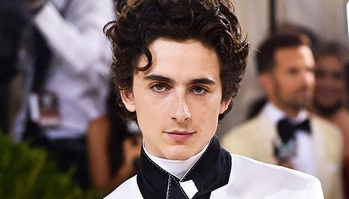 Bones and All Milan premiere shuts down amid concerns of Timothée Chalamets safety