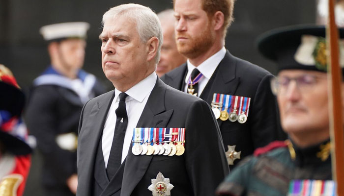 Prince Andrew advisors promised him royal return