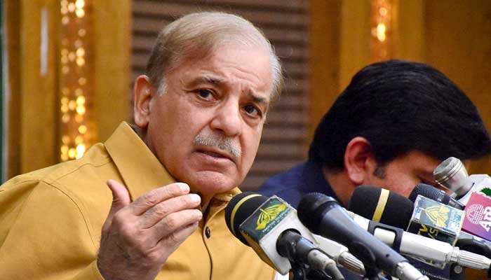 Prime Minister Shehbaz Sharif addresses a press conference in Lahore on November 5, 2022. — APP