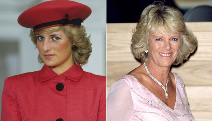 Aide spills ‘unspoken’ response to Princess Diana, ‘We have her replacement’