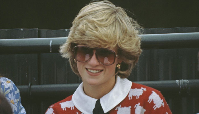 How King Charles aides 'systematically' proved Diana is 'bit crazy' - Vimarsana News