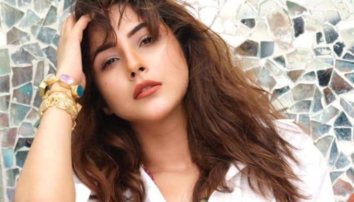 Shehnaaz Gill schools bodyguards over pushing fans away