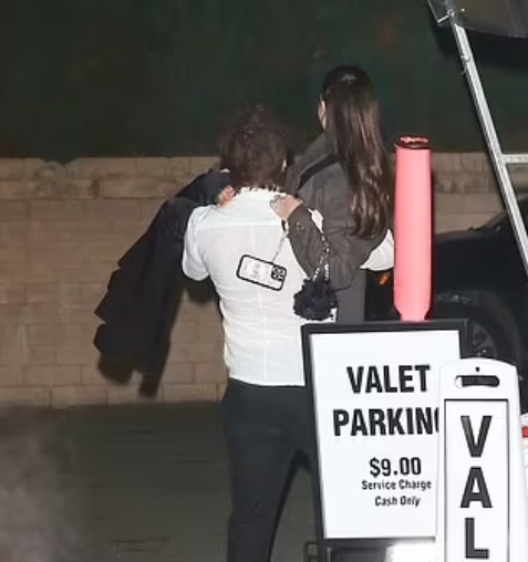 Brooklyn Beckham and Nicola Peltz look every inch the smitten couple during family dinner