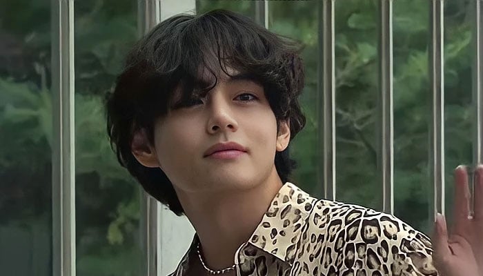 8 times BTS' V went viral in 2022