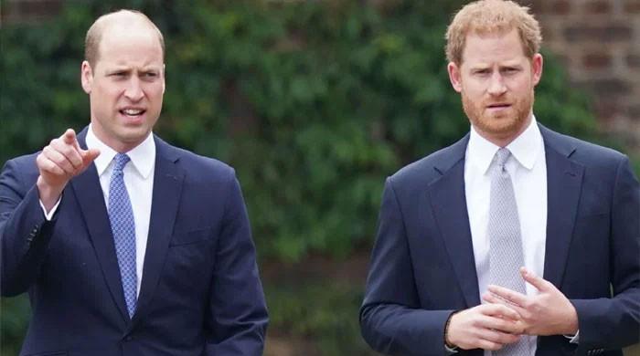 Prince William finally reaches out to Prince Harry to heal rift