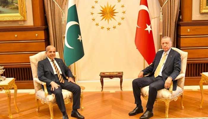 Prime Minister Shehbaz Sharif (L) meets Turkish President Recep Tayyip Erdoğan in Ankara, Turkey on June 1, 2022. — Facebook/Mian Shehbaz Sharif