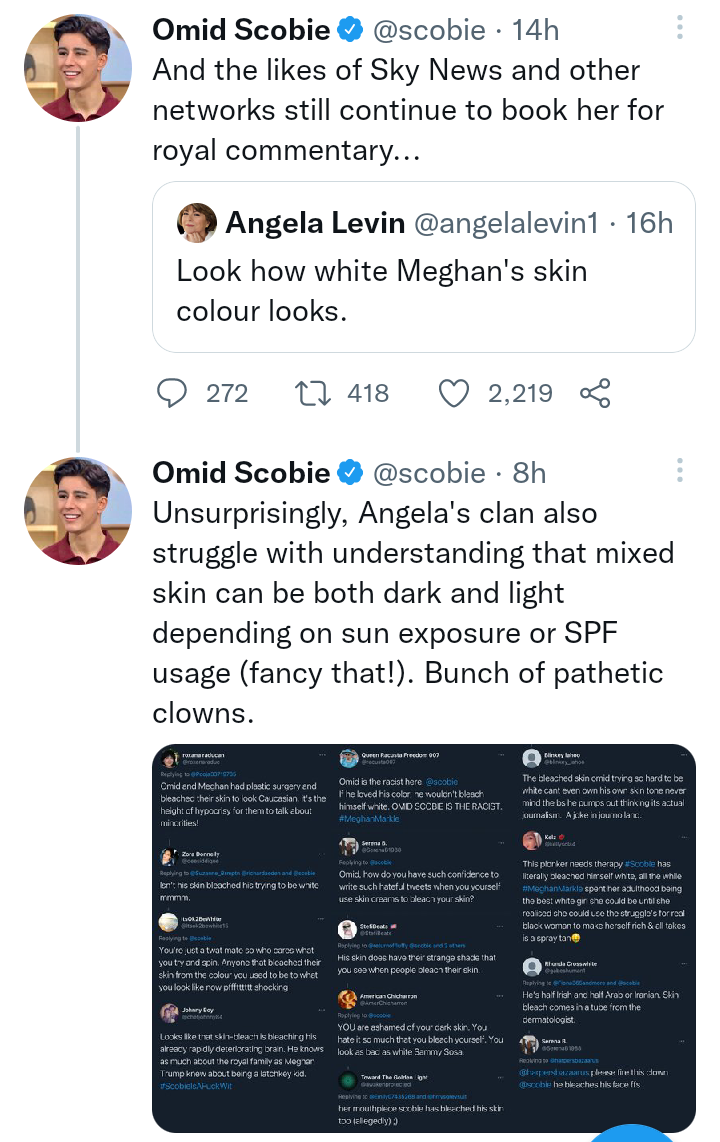 Royal author criticised for commenting on Meghans skin colour