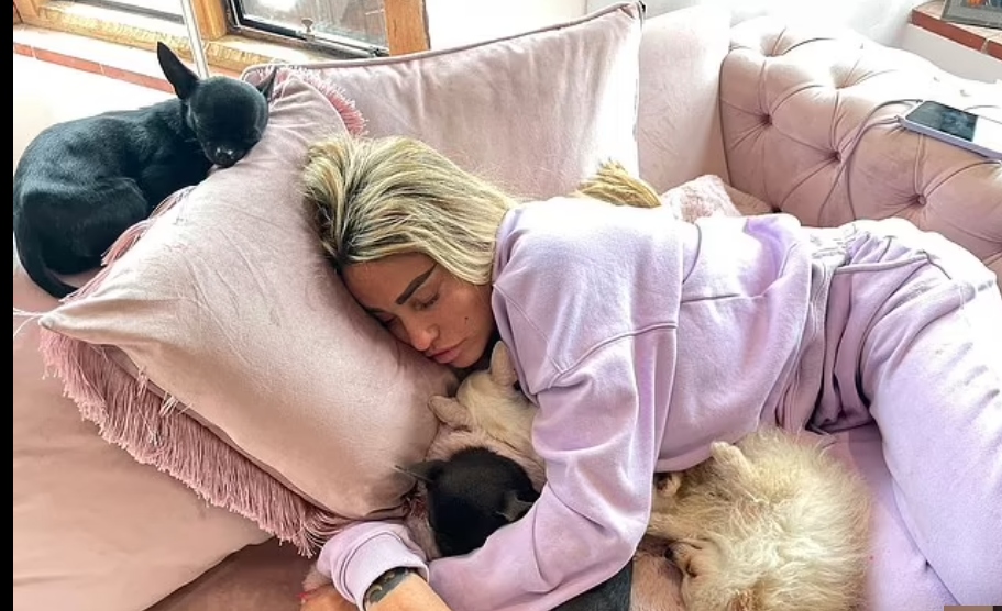 Katie Prices beloved dog Sharon killed in horror car accident
