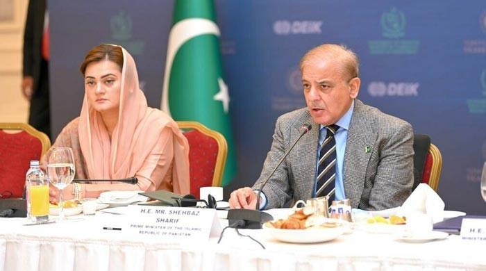 PM Shehbaz asks Turkish investors to expand footprint in renewable energy