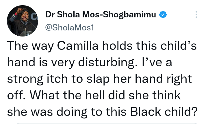 Activist called out for making nasty, unfair comment about Camilla