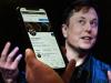 Musk says Twitter user signups at all-time high, touts features of 'everything app'