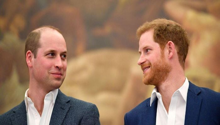 Prince William and Harry can have a surprise meeting in US?