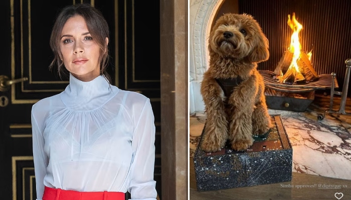Victoria Beckham reveals son Romeos dog ruined her luxury advent calendar