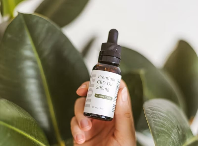 The image shows a person holding a bottle of CBD oil.— Unsplash