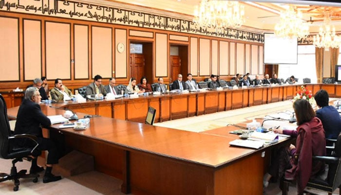 Federal Minister for Finance and Revenue Senator Mohammad Ishaq Dar presided over the meeting of the Economic Coordination Committee (ECC) on November 29, 2022 in Islamabad. — Ministry of Finance