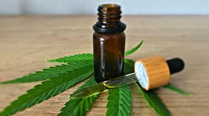 What we know about cannabidiol