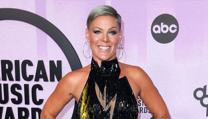 Pink buys a $5000 painting made by chimps to support a cause