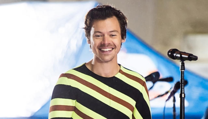 Harry Styles fans spot his lookalike at Qatar World Cup tournament