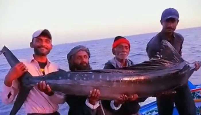 Ibrahim Hyderis fishermen pose with the rare Indo-Pacific sailfish caught in Pakistani waters today. — Screengrab/YouTube/GeoNewsLive